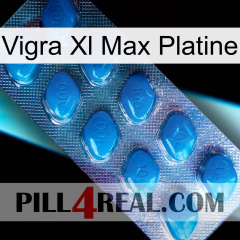 Vigra Xl Max Platinum viagra1